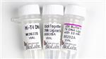 M2622L | Hi T4 DNA Ligase 100000 units