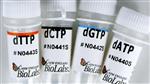 N0446S | Deoxynucleotide dNTP Solution Set 25 mol