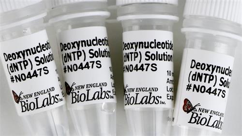 N0447S | Deoxynucleotide dNTP Solution Mix 8 mol