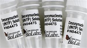 N0447L | Deoxynucleotide dNTP Solution Mix 40 mol