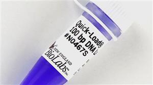 N0467L | Quick Load 100 bp DNA Ladder 375 gel lanes