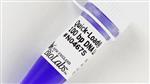 N0467L | Quick Load 100 bp DNA Ladder 375 gel lanes