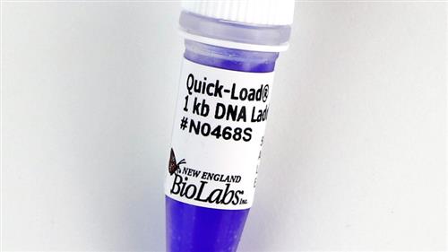 N0468L | Quick Load 1 kb DNA Ladder 375 gel lanes