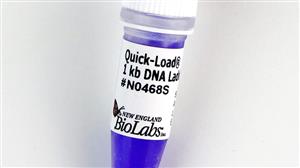 N0468S | Quick Load 1 kb DNA Ladder 125 gel lanes