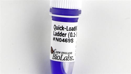 N0469S | Quick Load 1 kb Plus DNA Ladder 250 gel lanes
