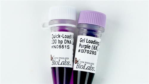 N0551L | Quick Load Purple 100 bp DNA Ladder 375 gel lanes