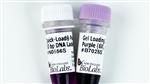 N0556S | Quick Load Purple 50 bp DNA Ladder 250 gel lanes