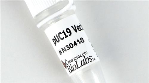 N3041S | pUC19 Vector 50 g