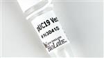 N3041S | pUC19 Vector 50 g