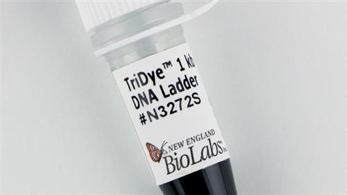 N3272S | TriDye 1 kb DNA Ladder 125 gel lanes