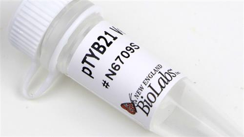 N6709S | pTYB21 Vector 10 g