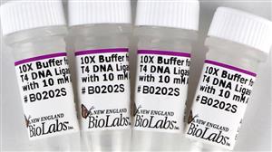 B0202S | T4 DNA Ligase Reaction Buffer 5 ml