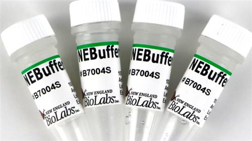 B7004S | NEBuffer 4 5 ml