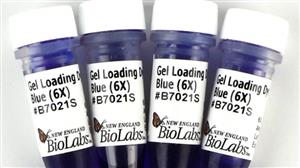 B7021S | Gel Loading Dye Blue 6X 4 ml