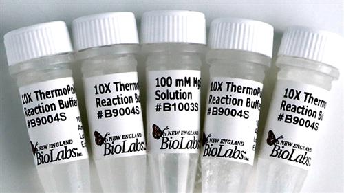 B9004S | ThermoPol Reaction Buffer Pack 6 ml 4 x 1.5 ml