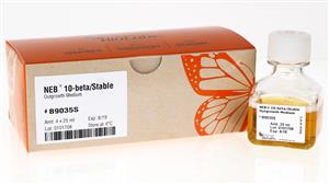 B9035S | NEB 10 beta Stable Outgrowth Medium 100 ml 4 x 25