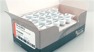 C2529H | NiCo21 DE3 Competent E. coli 20 x 0.05 ml