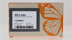 C2988J | NEB 5 alpha Competent E. coli Subcloning Efficienc