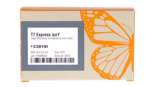 C3010I | T7 Express lysY Competent E. coli High Efficiency