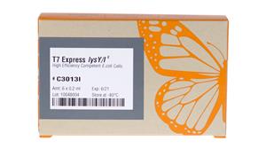 C3013I | T7 Express lysY Iq Competent E. coli High Efficien