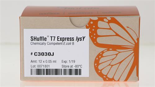 C3030J | SHuffle T7 Express lysY Competent E.coli 12 x 0.05