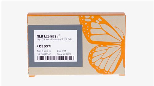 C3037I | NEBExpress Iq Competent E. coli High Efficiency 6