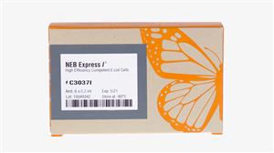 C3037I | NEBExpress Iq Competent E. coli High Efficiency 6