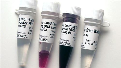 E0555L | Q5 High Fidelity PCR Kit 200 reactions
