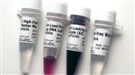 E0555L | Q5 High Fidelity PCR Kit 200 reactions