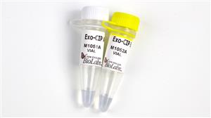 E1050S | Exo CIP Rapid PCR Cleanup Kit 100 reactions
