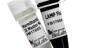 E1700L | WarmStart LAMP Kit DNA RNA 500 reactions
