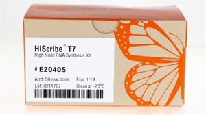 E2040S | HiScribe T7 High Yield RNA Synthesis Kit 50 reacti