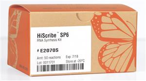 E2070S | HiScribe SP6 RNA Synthesis Kit 50 reactions