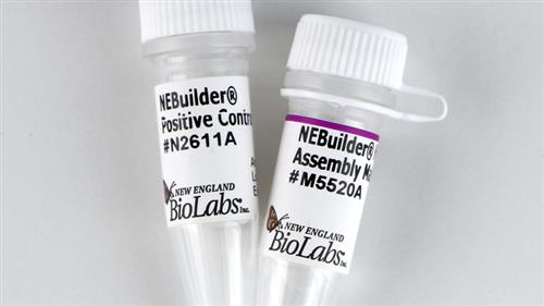 E2621L | NEBuilder HiFi DNA Assembly Master Mix 50 reaction
