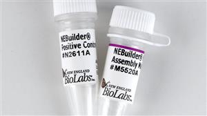 E2621S | NEBuilder HiFi DNA Assembly Master Mix 10 reaction