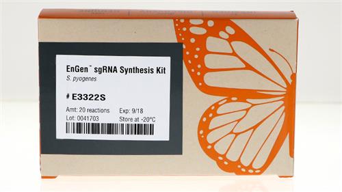 E3322S | EnGen sgRNA Synthesis Kit S. pyogenes 20 reactions