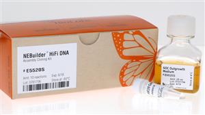 E5520S | NEBuilder HiFi DNA Assembly Cloning Kit 10 reactio