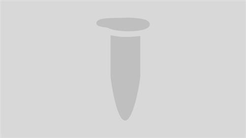 E6111S | NEBNext Ultra II Non Directional RNA Second Strand