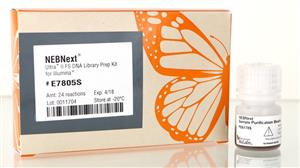 E6177L | NEBNext Ultra II FS DNA Library Prep with Sample P