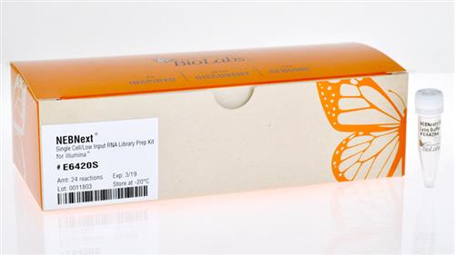 E6420L | NEBNext Single Cell Low Input RNA Library Prep Kit
