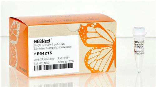 E6421S | NEBNext Single Cell Low Input cDNA Synthesis and A