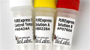 E6800L | PURExpress In Vitro Protein Synthesis Kit 100 reac