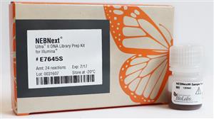 E7103L | NEBNext Ultra II DNA Library Prep with Sample Puri