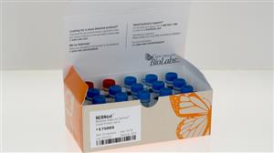 E7500S | NEBNext Multiplex Oligos for Illumina Index Primer