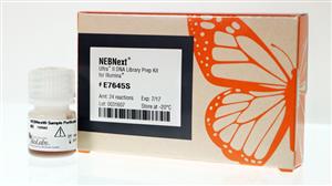 E7645L | NEBNext Ultra II DNA Library Prep Kit for Illumina