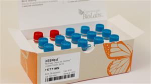 E7710L | NEBNext Multiplex Oligos for Illumina Index Primer