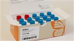 E7710L | NEBNext Multiplex Oligos for Illumina Index Primer