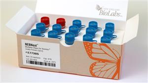 E7730L | NEBNext Multiplex Oligos for Illumina Index Primer