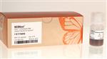 E7765S | NEBNext Ultra II Directional RNA Library Prep with