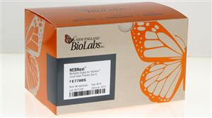 E7780S | NEBNext Multiplex Oligos for Illumina Dual Index P